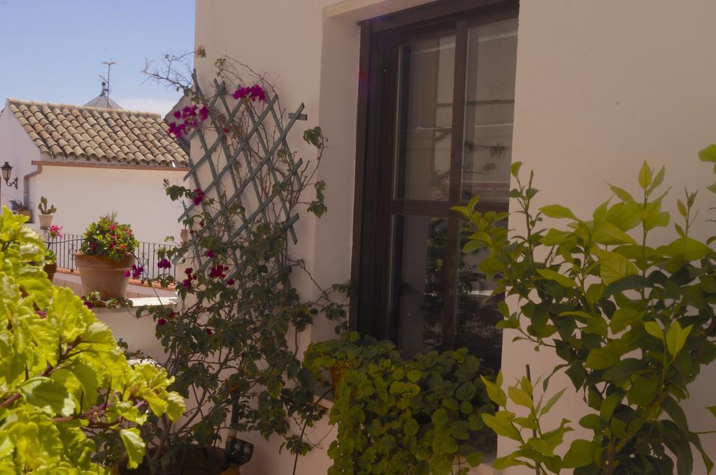 Penthouse Puerta De La Juderia