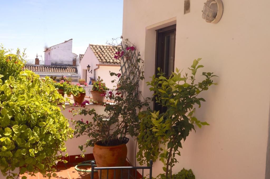 Apartment Penthouse Puerta De La Juderia Cordoba