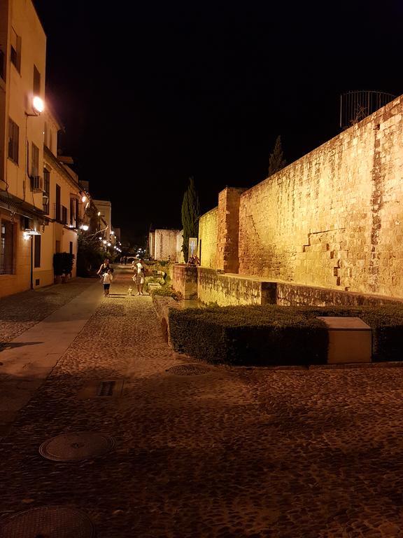 Apartamento Junto A La Mezquita