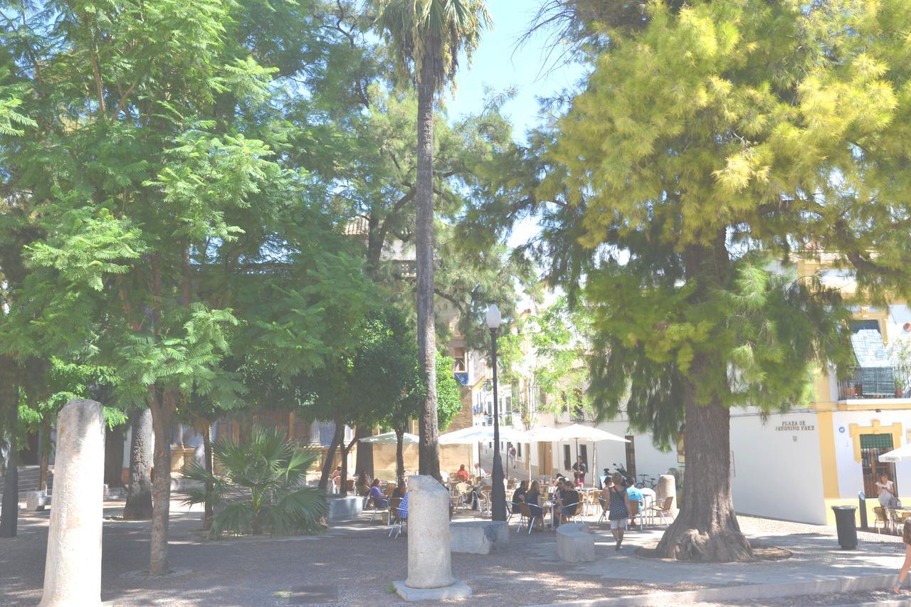 Apartamento Apartaluz Centro Arqueologico Balcon Córdoba