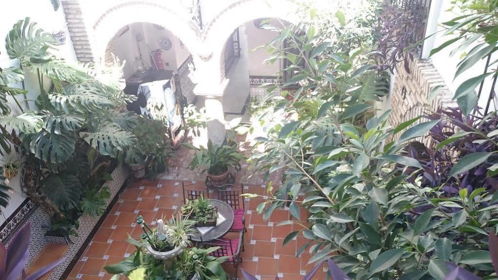 Pensión Arcos Córdoba