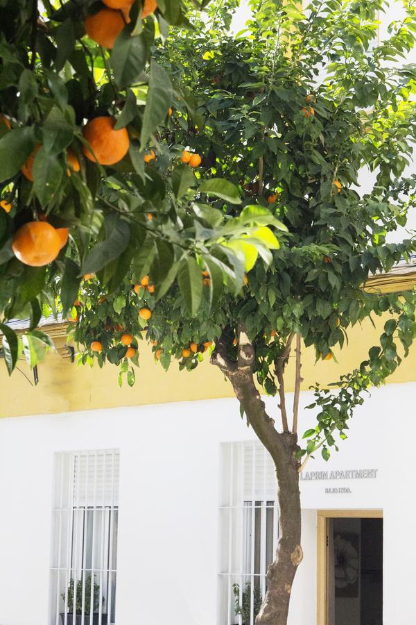 Meilan House * Córdoba