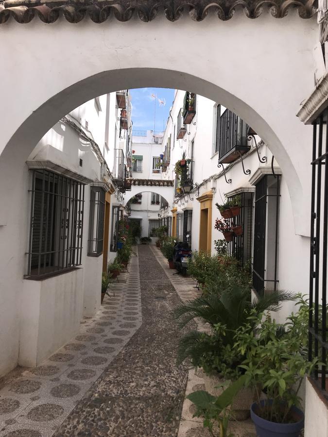 A. Andalusi. * Cordoba