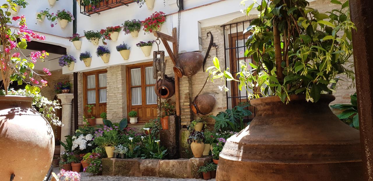 La Sultana *