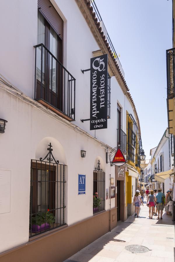 Apartamento Cespedescinco *