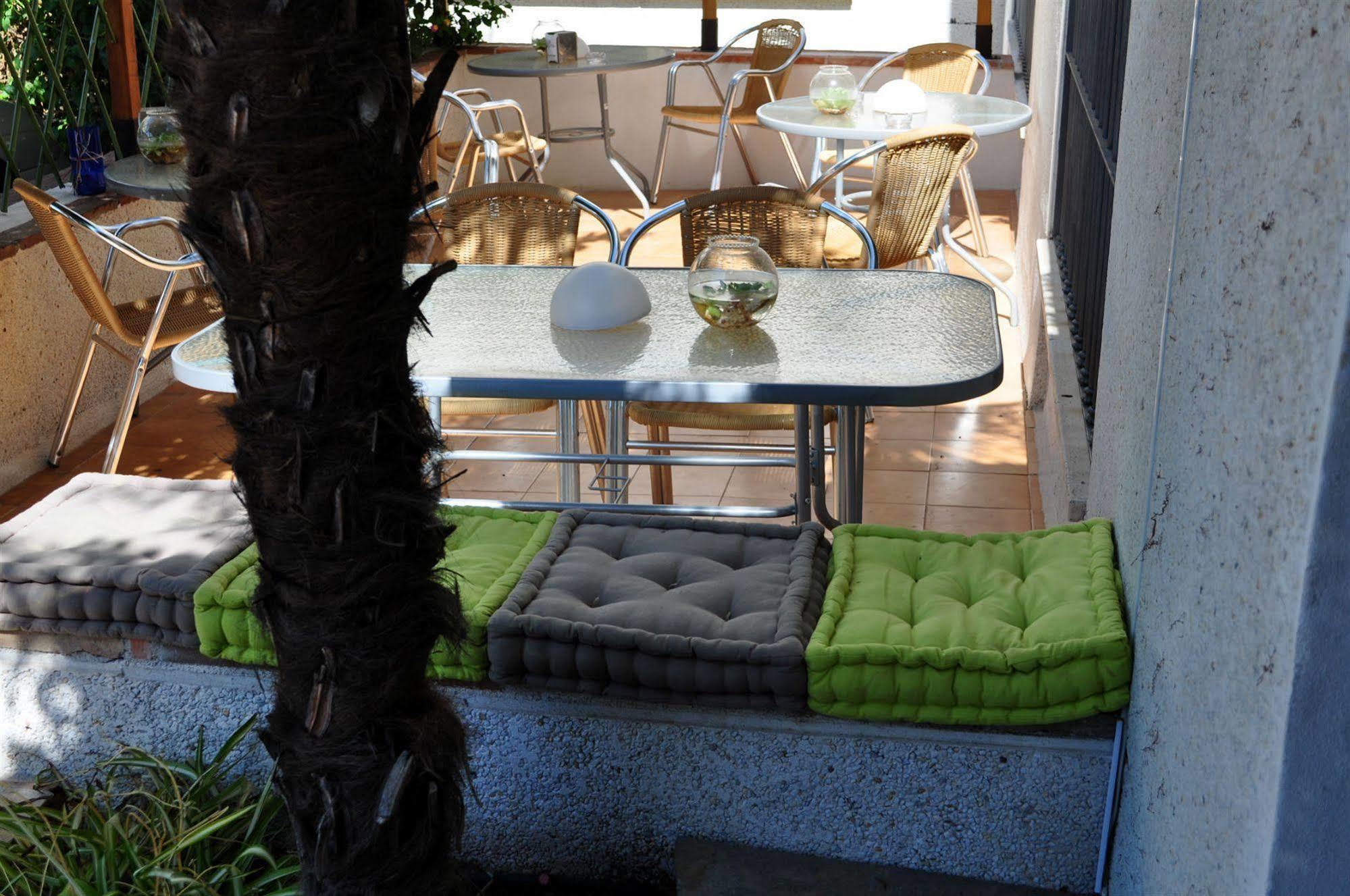 Oasis 2*