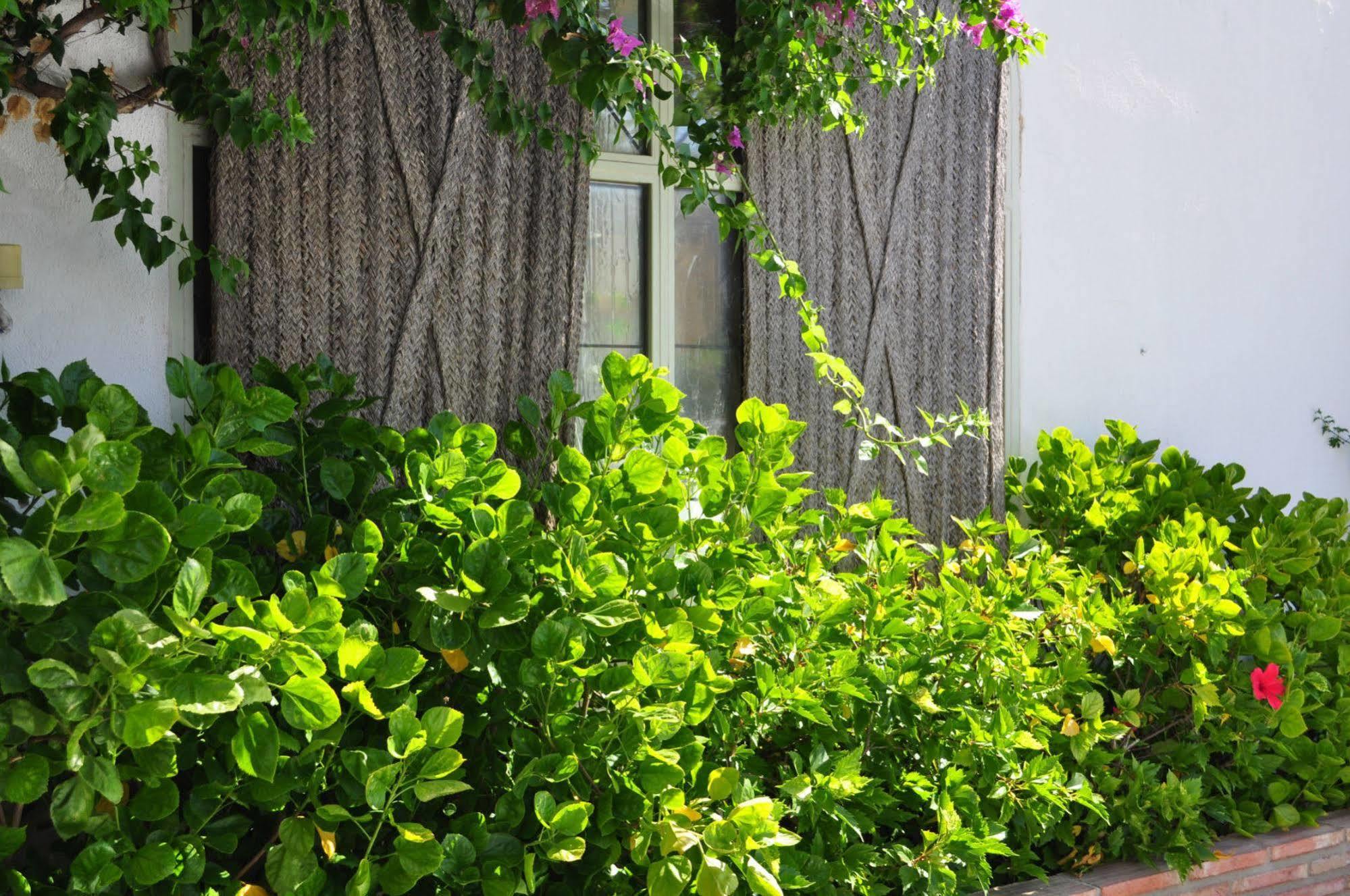 Oasis Hotel Cordoba