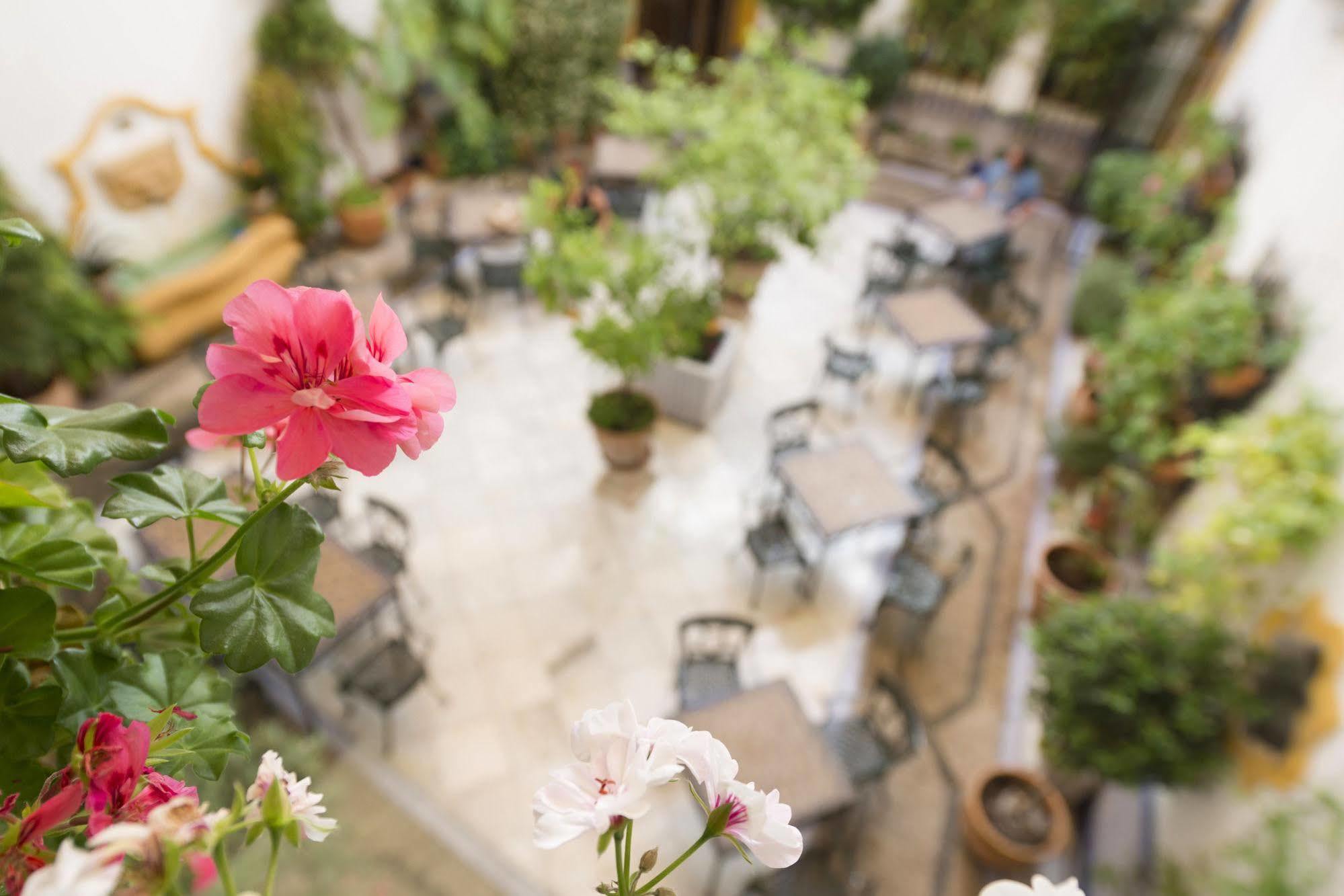 Hotel Eurostars Maimonides Cordoba