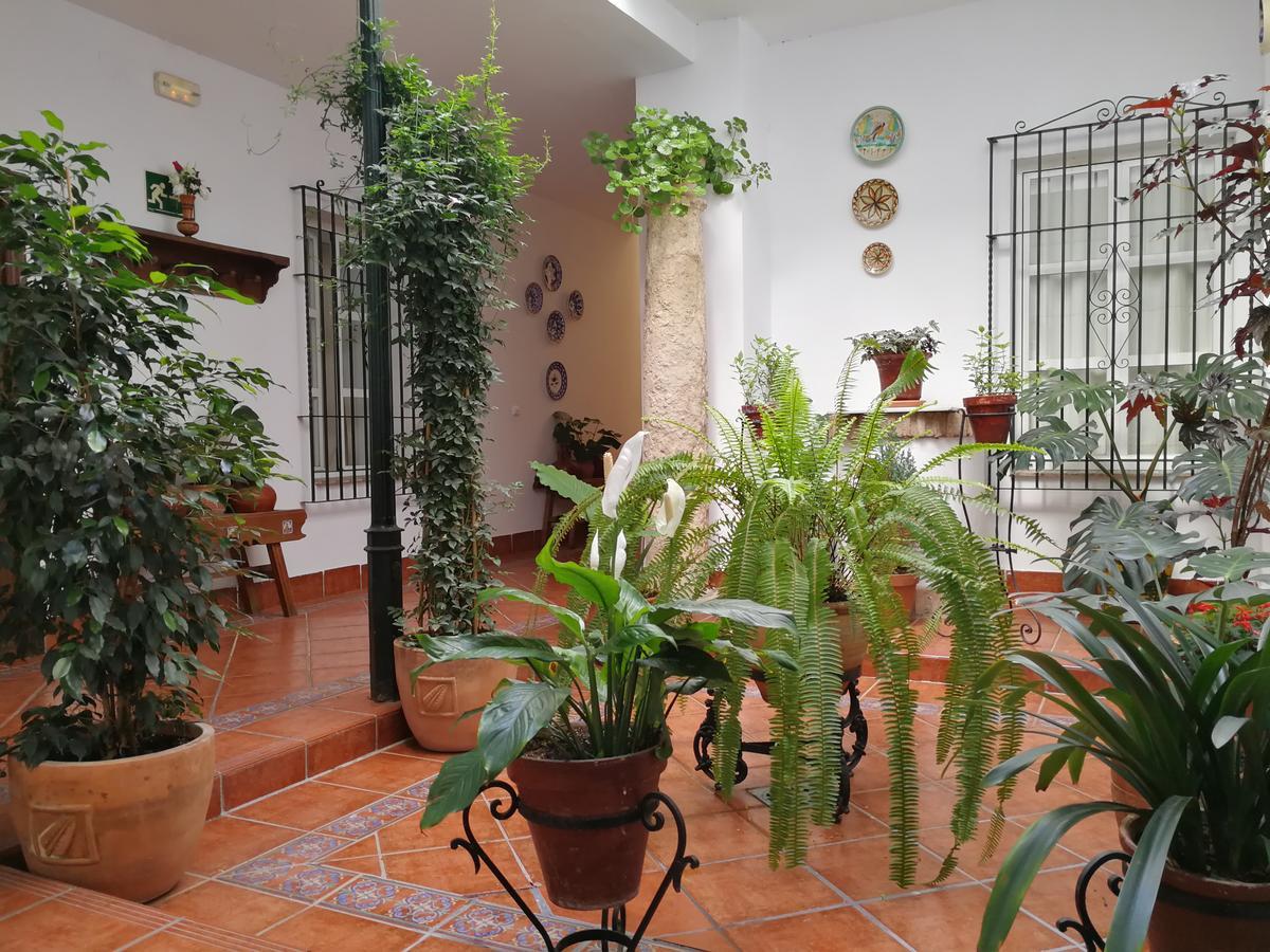 Hotel Maestre *