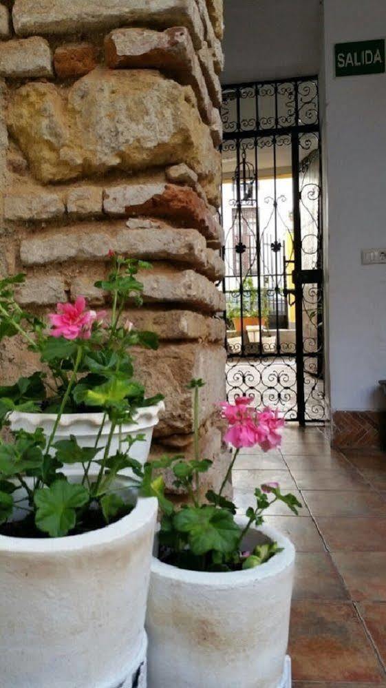 Casa De Naranjos Hotel Cordoba