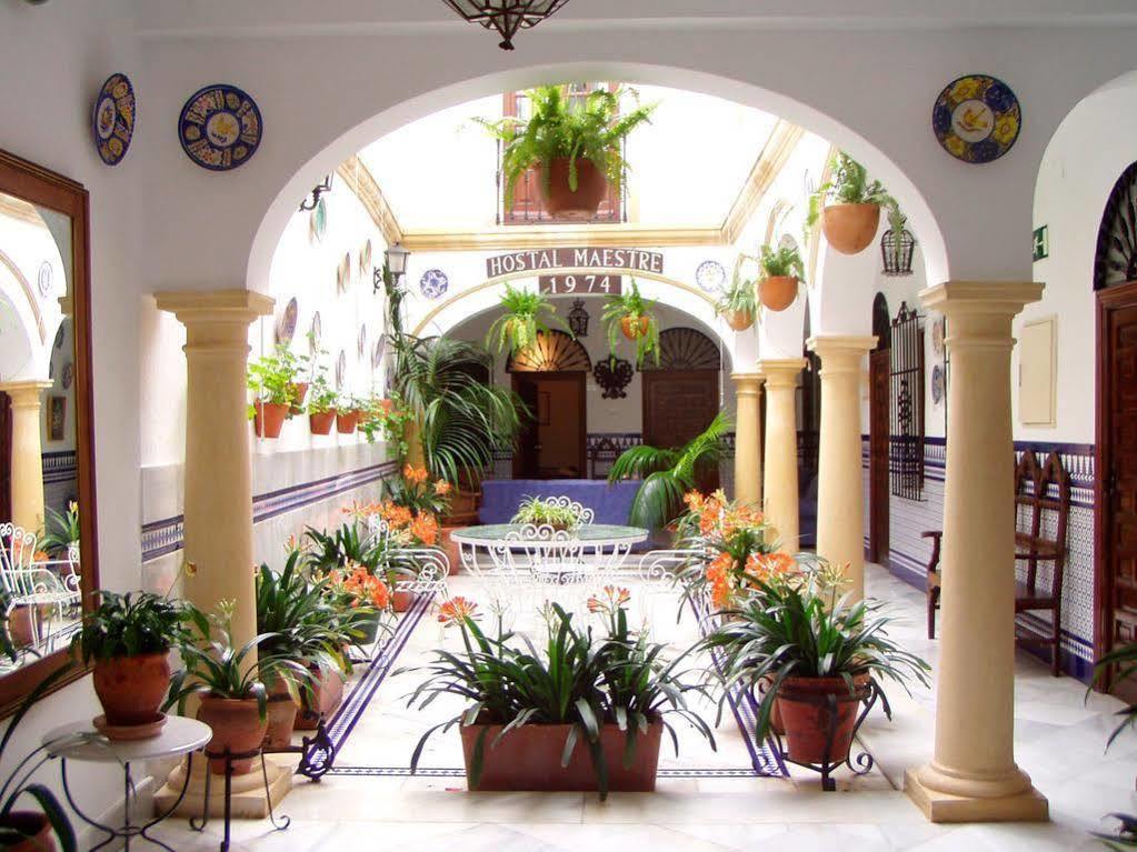 Maestre * Cordoba