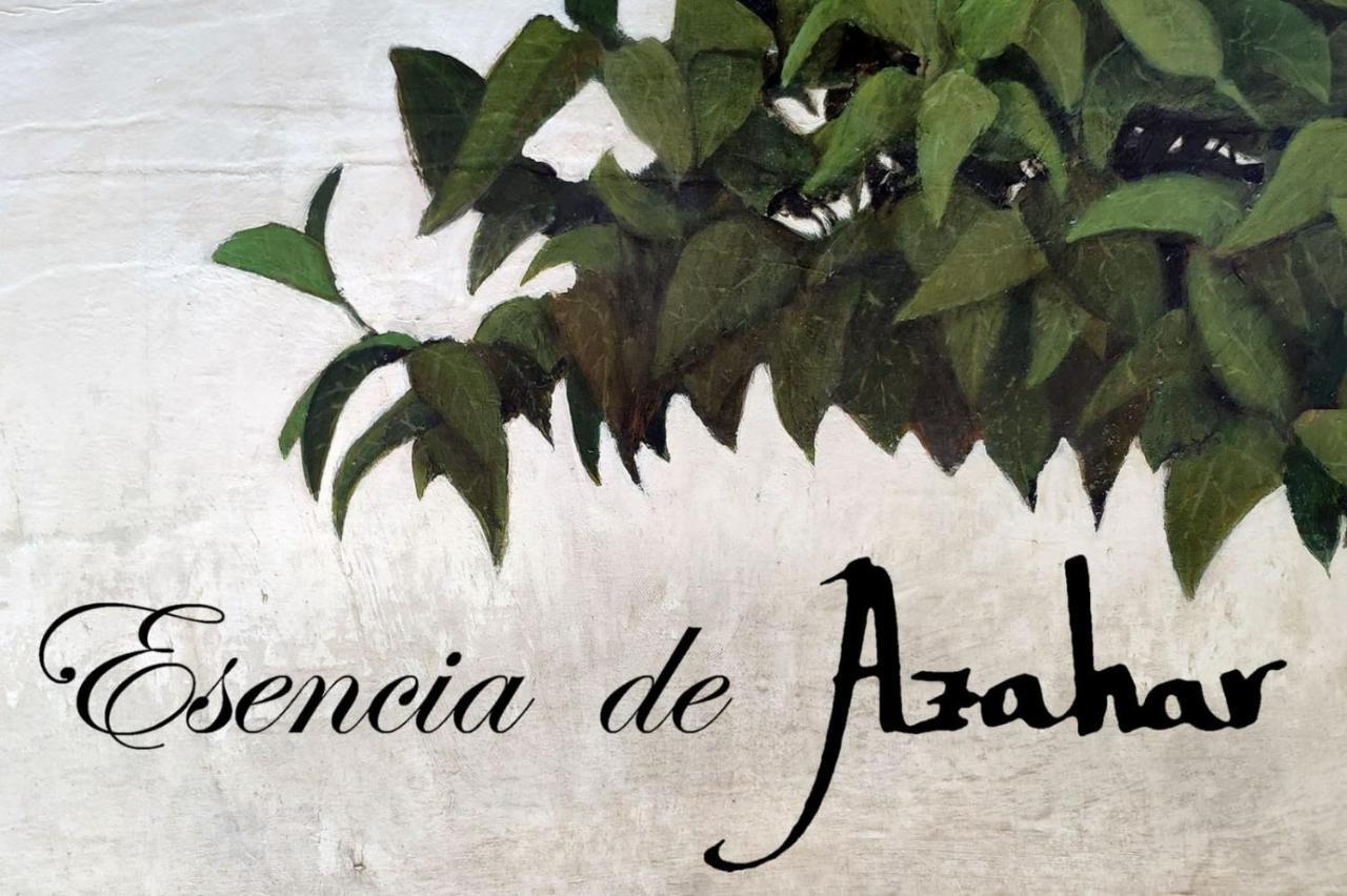 Esencia De Azahar Córdoba