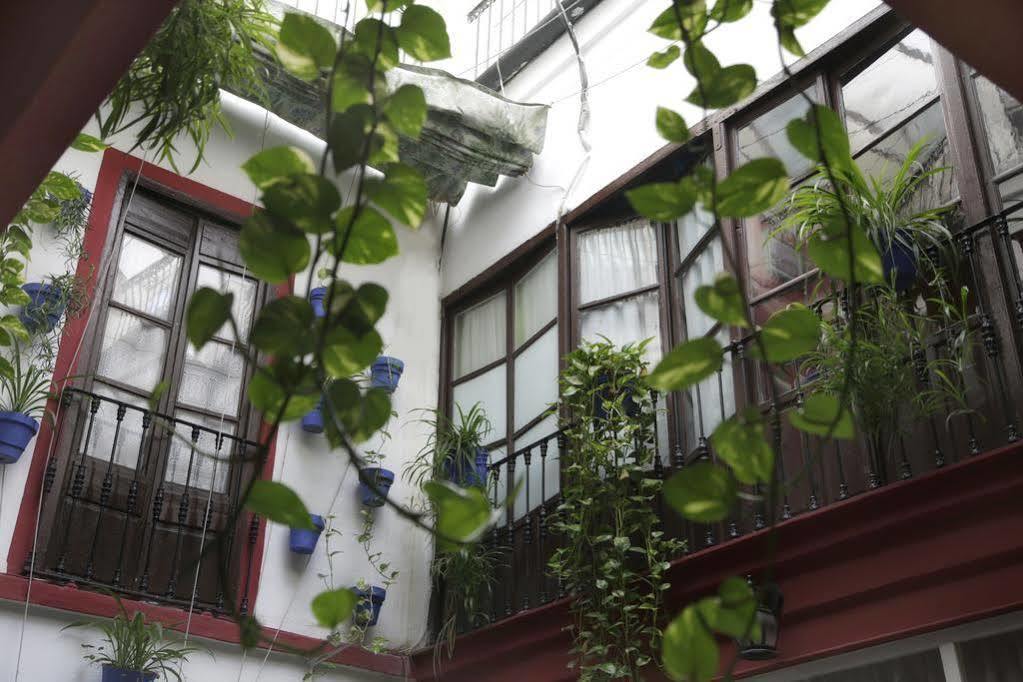 Guest house Internacional