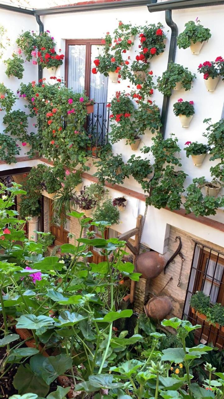 La Sultana Apartment