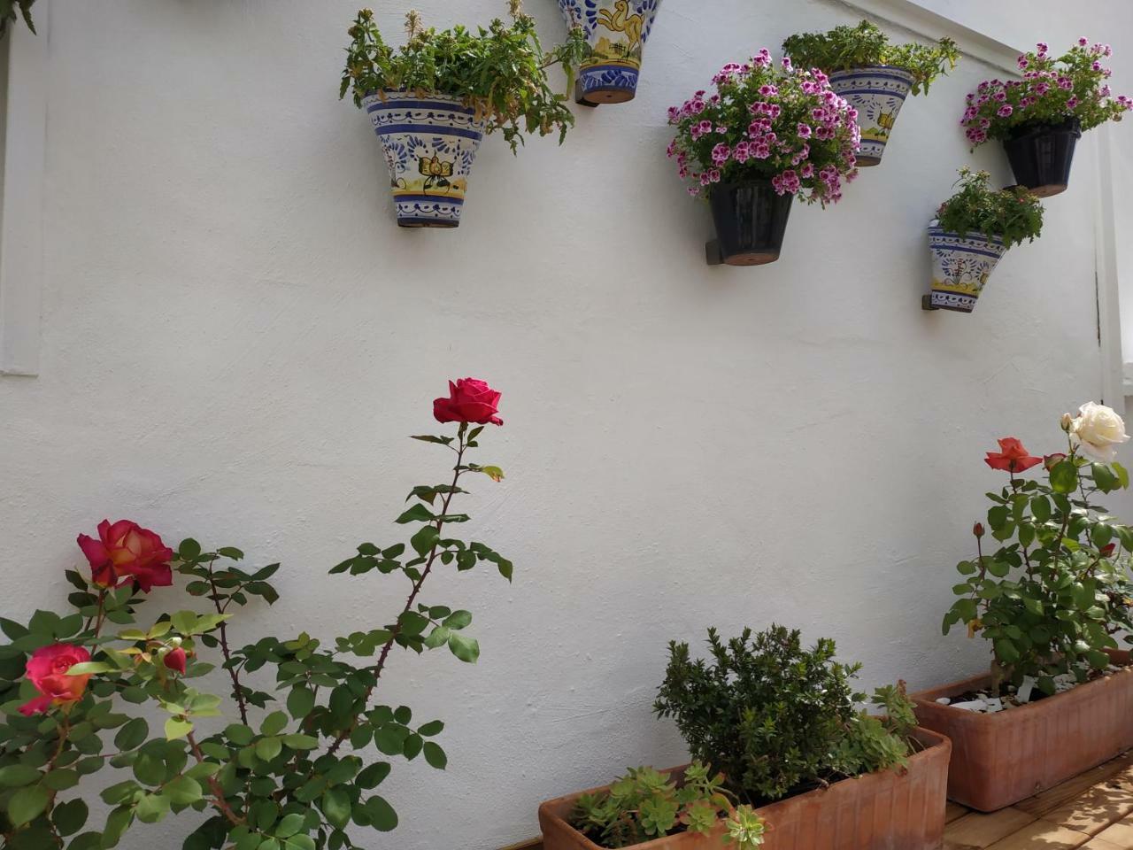 Esencia De Azahar * Córdoba