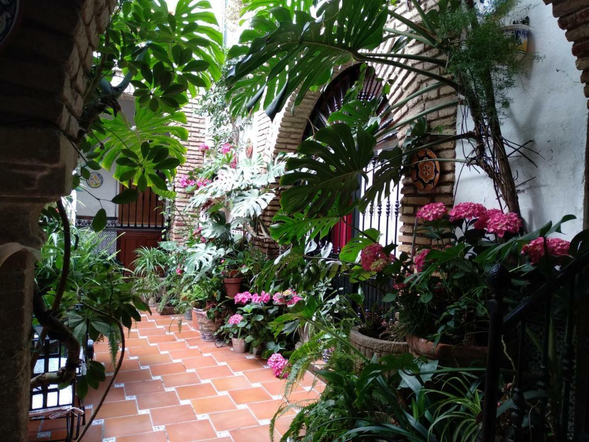 Arcos Pensión Córdoba