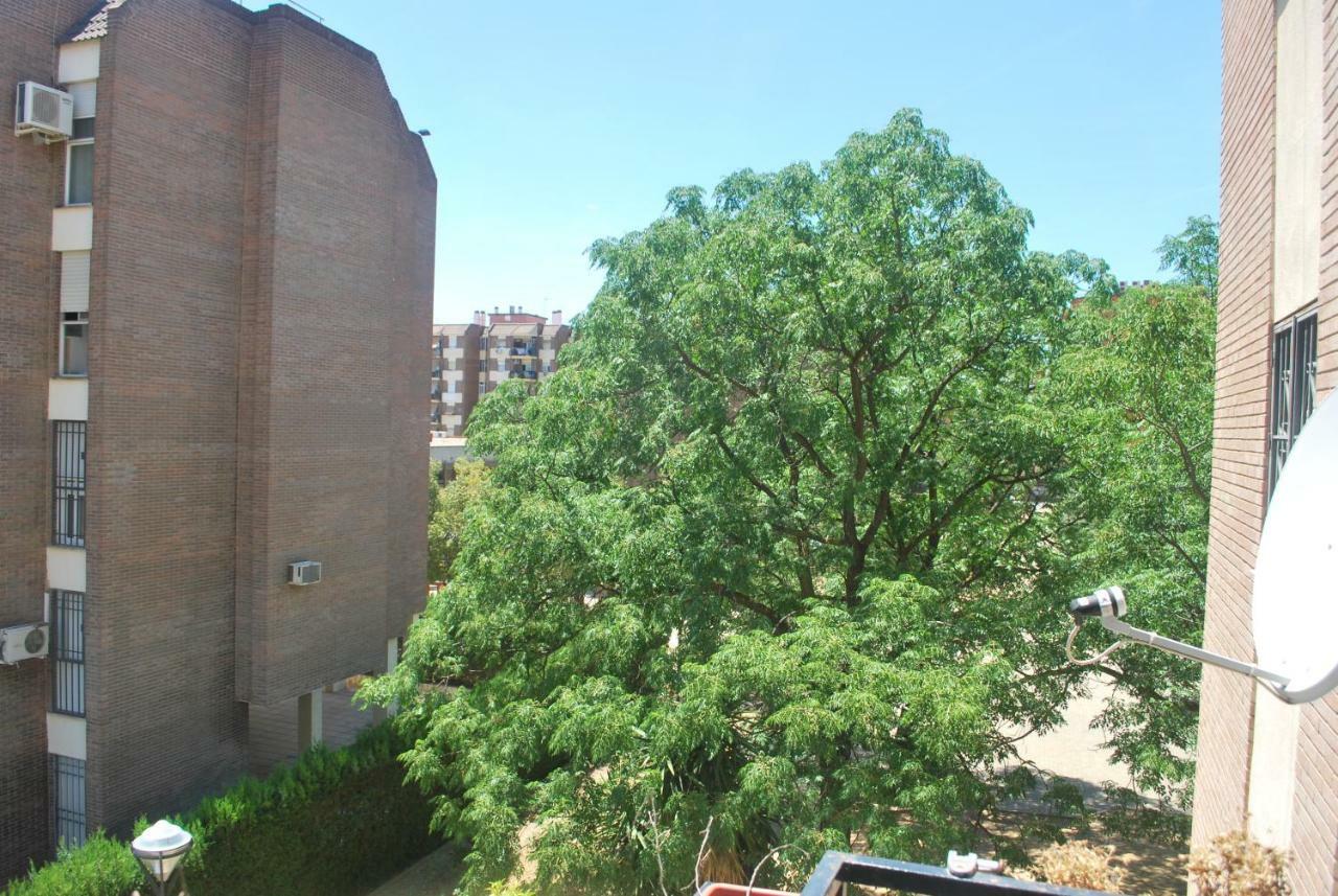Piscina Y Parking Incluidos, Amplio Piso En Av. Manolete