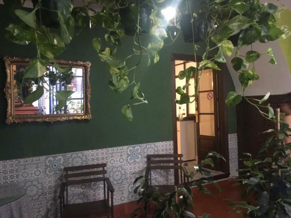 Pensión El Sueno De La Juderia Córdoba