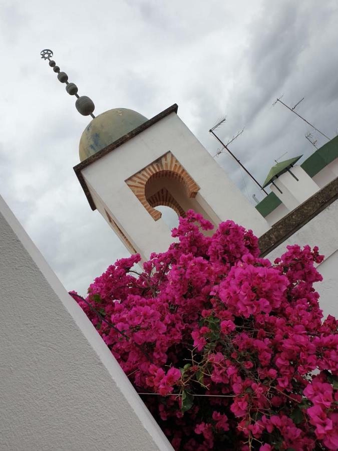 Entre 2 Mezquitas 8