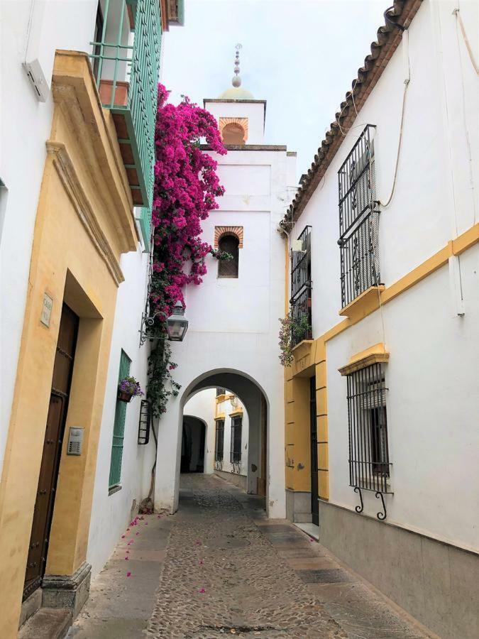 Apartamento Entre 2 Mezquitas 8 Córdoba