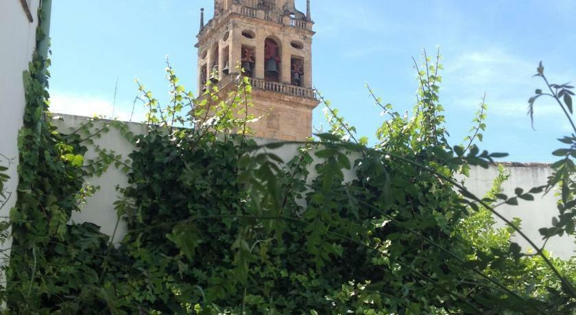 Apartamento Entre 2 Mezquitas 8 Córdoba