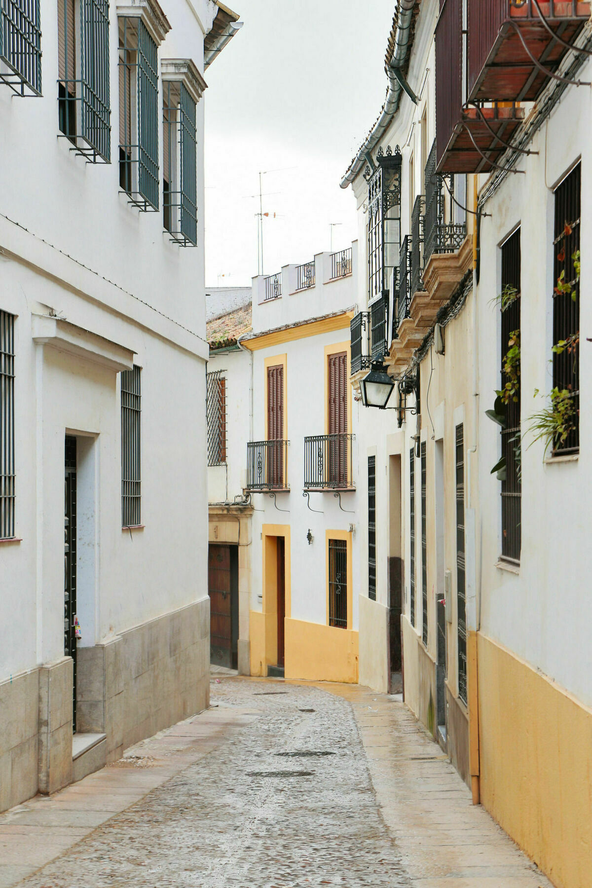 Oyo Leiva Córdoba