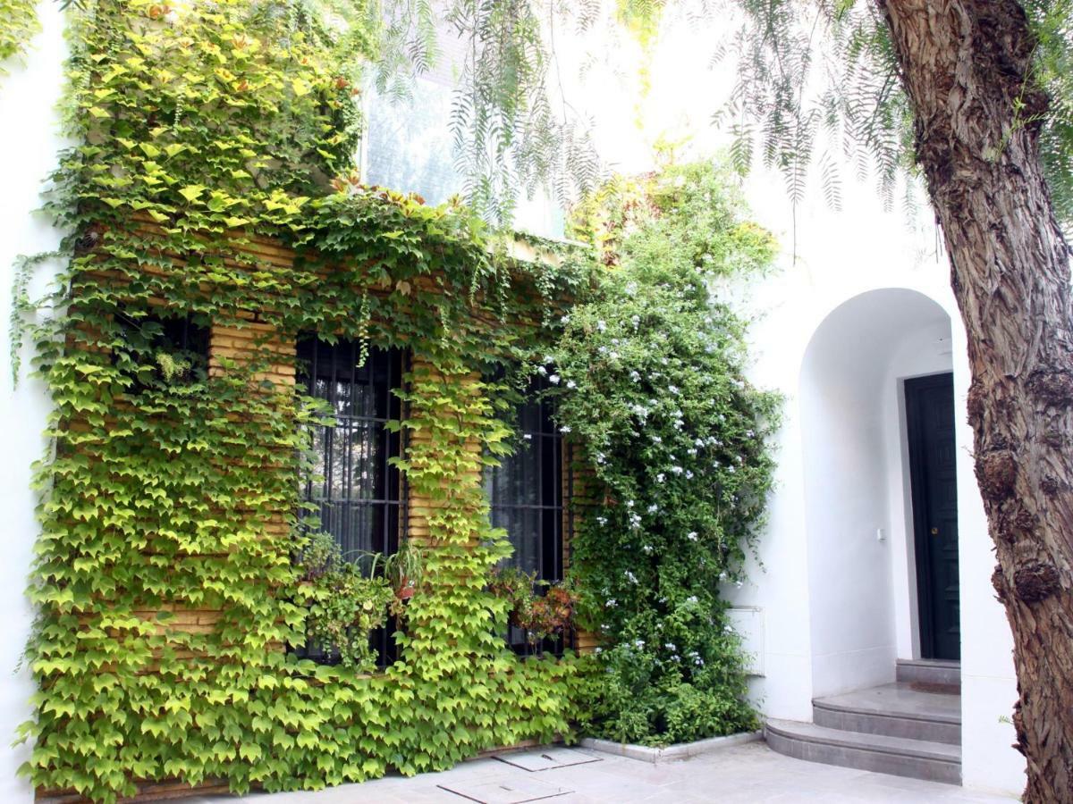 Apartamento Centro De Con Parking Gratuito