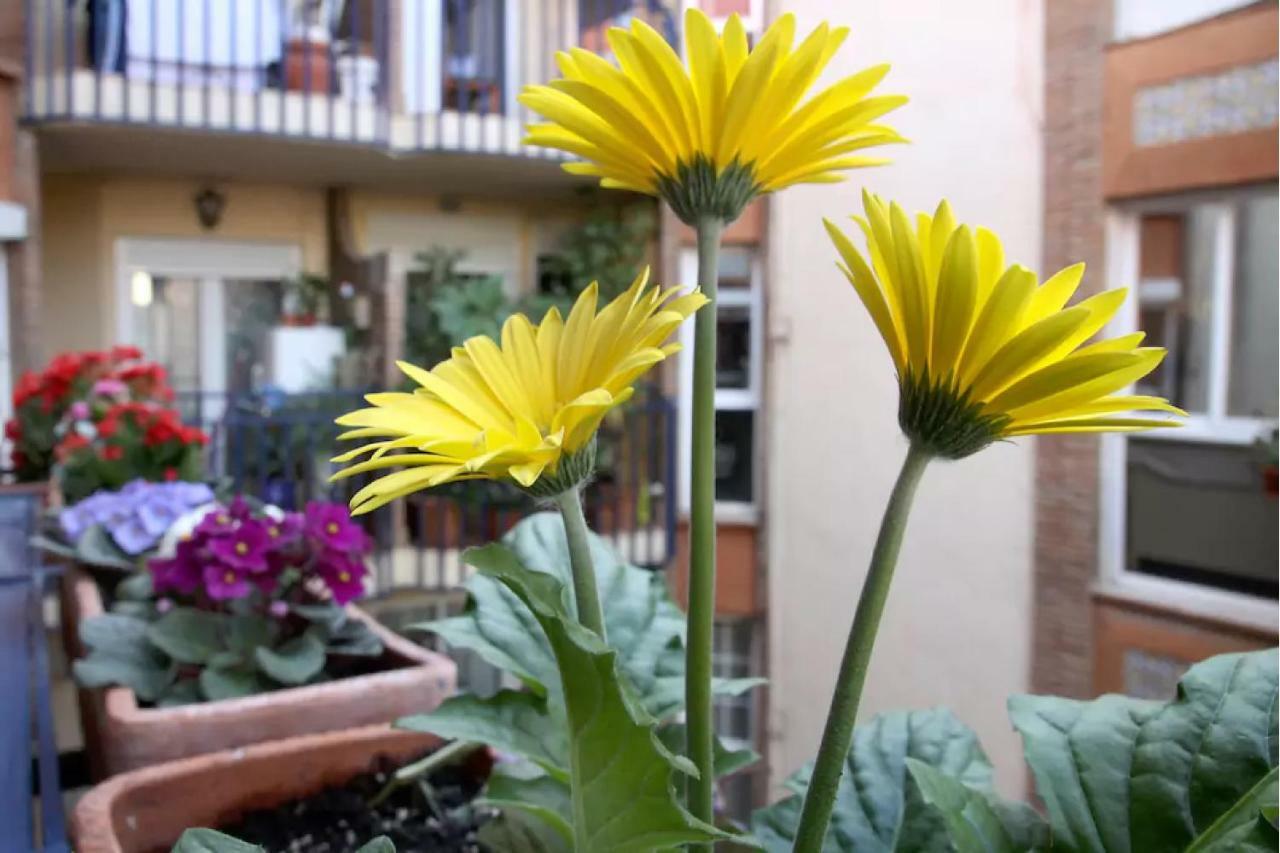 Apartamento Azahara Córdoba