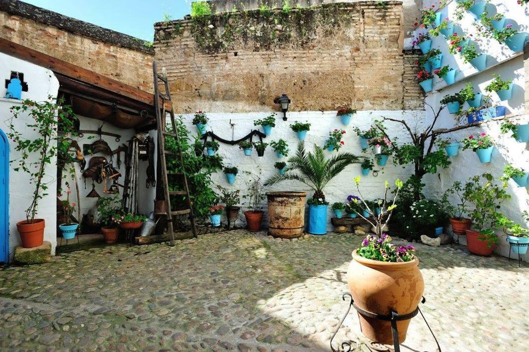 De Patios Pensión 2*