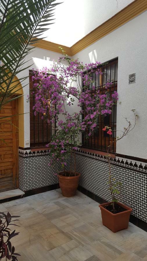 Apartamento Casa Típica Cordobesa Córdoba