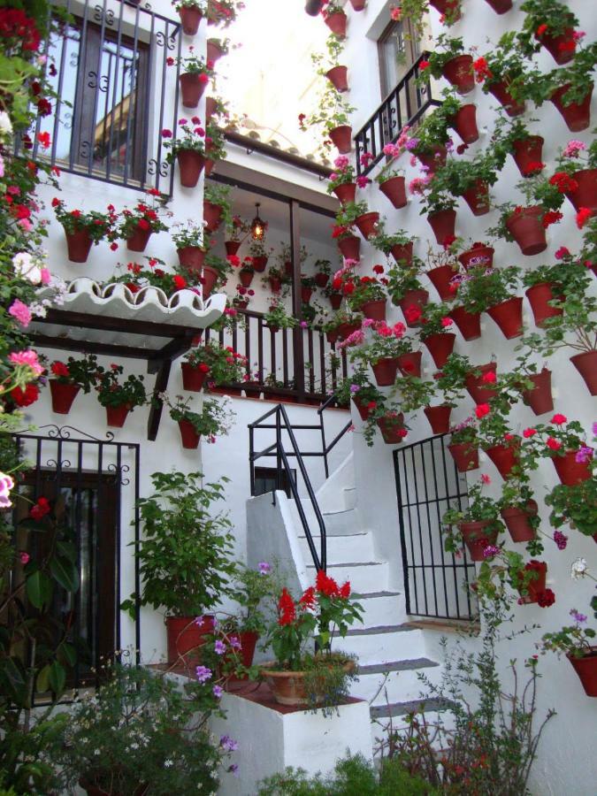 Apartamento El Balcón De La Juderia Córdoba