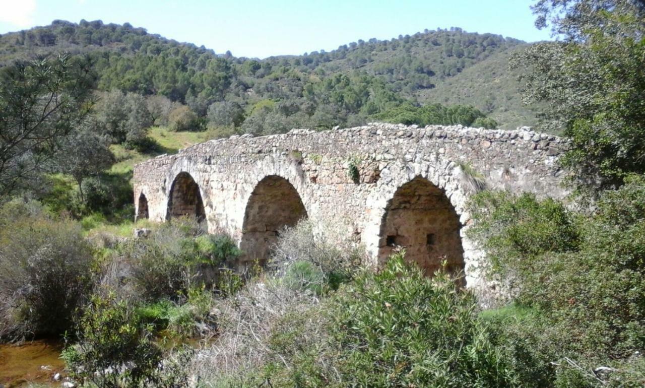 Solanas Del Pilar Córdoba