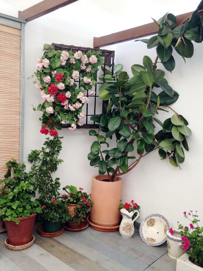 Patio San Lorenzo