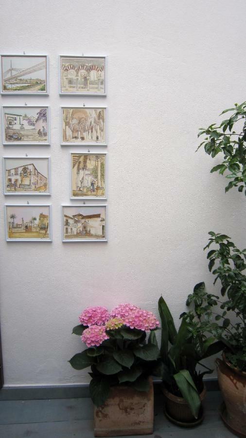 Patio San Lorenzo *