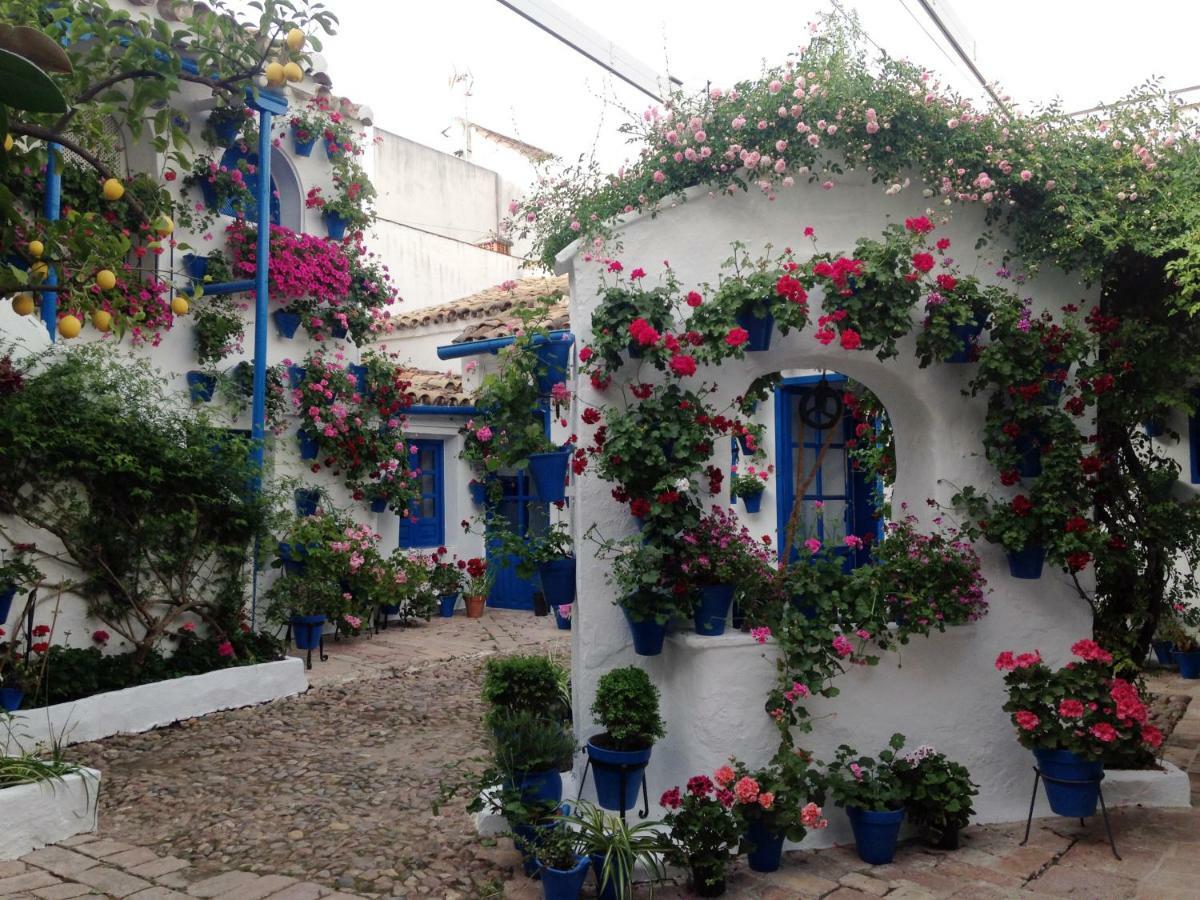 Apartamento Patio San Lorenzo Córdoba