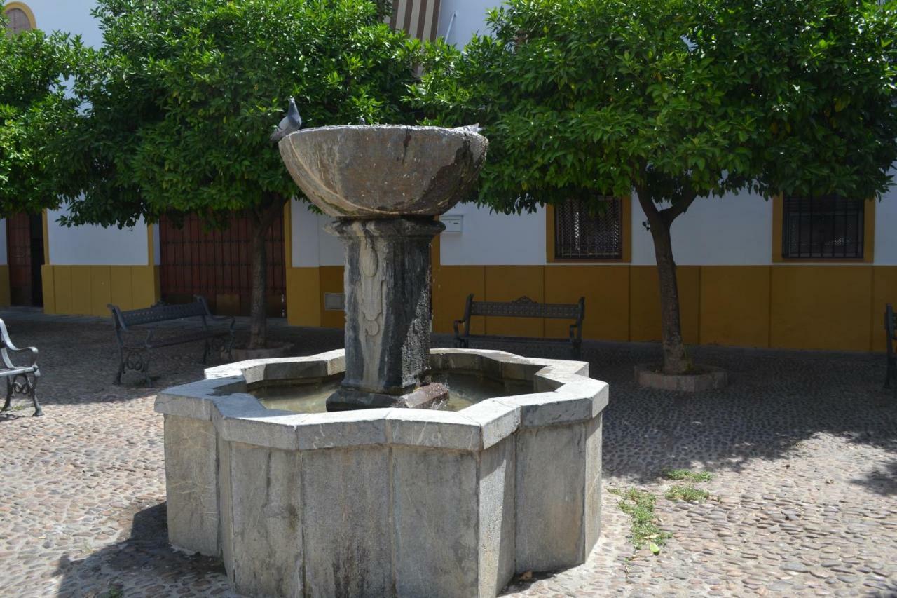 La Palma Flamenca