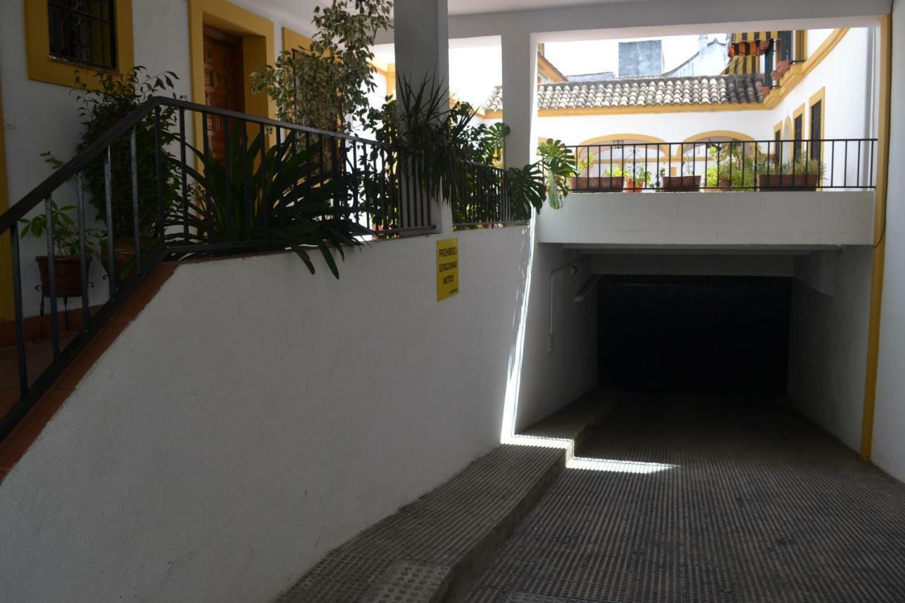 La Palma Flamenca Córdoba