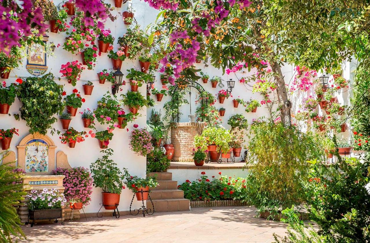 Patios De San Lorenzo Córdoba