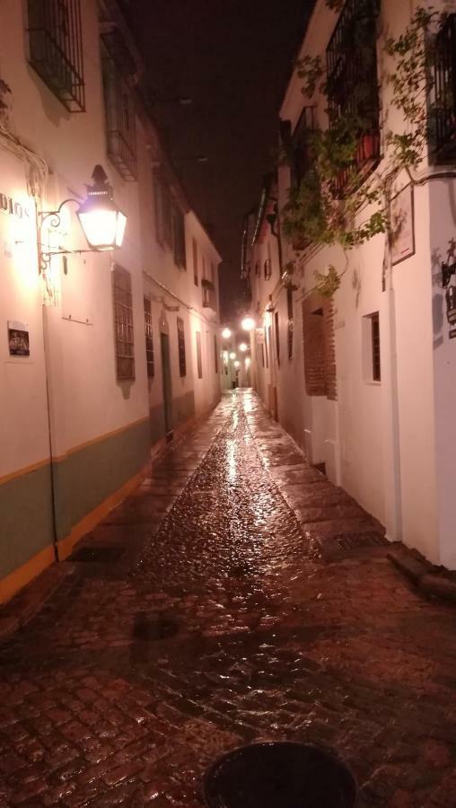 A Escasos Metros De La Mezquita *