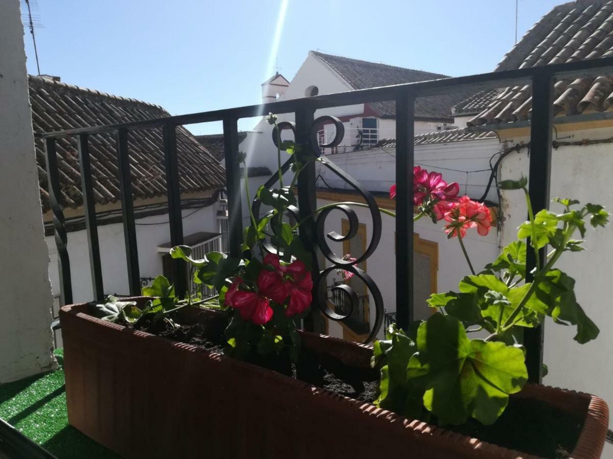 Apartamento A Escasos Metros De La Mezquita