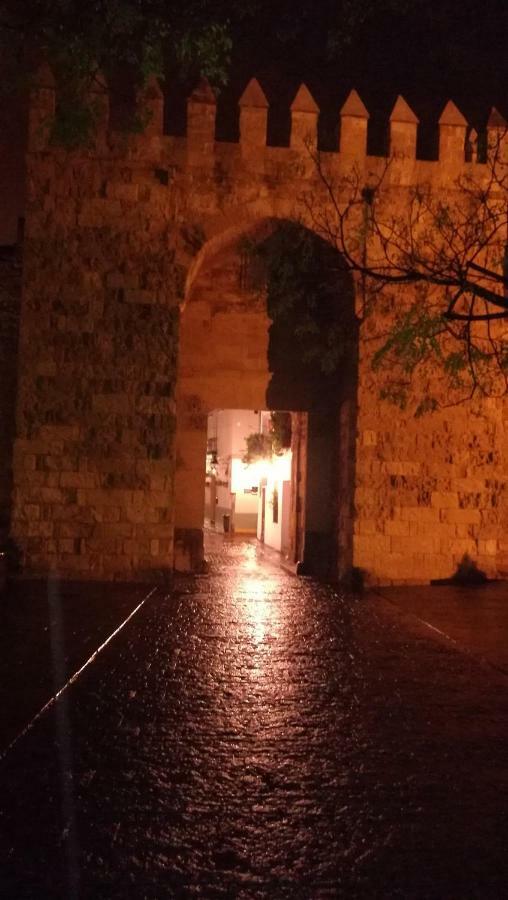 A Escasos Metros De La Mezquita
