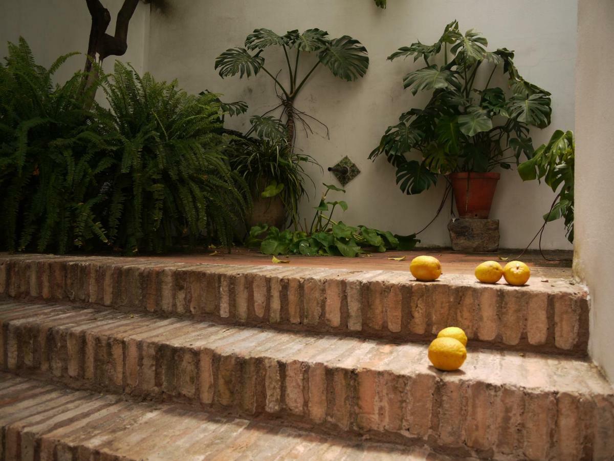 Apartamento Entre2mezquitas 6 *