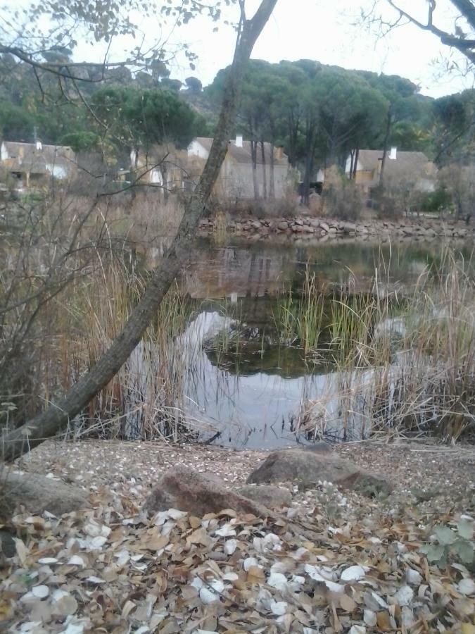 Сasa de vacaciones Rosa Amparo Córdoba