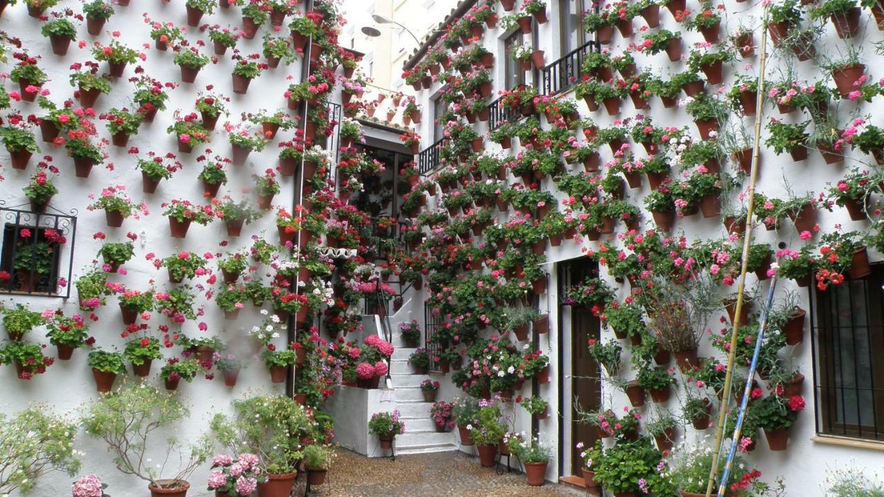 Apartamento El Balcón De La Mezquita Córdoba
