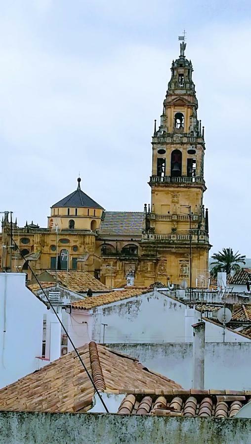 A Escasos Metros De La Mezquita Apartamento *