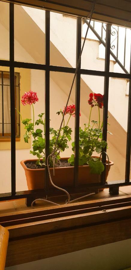 Apartamento Centro