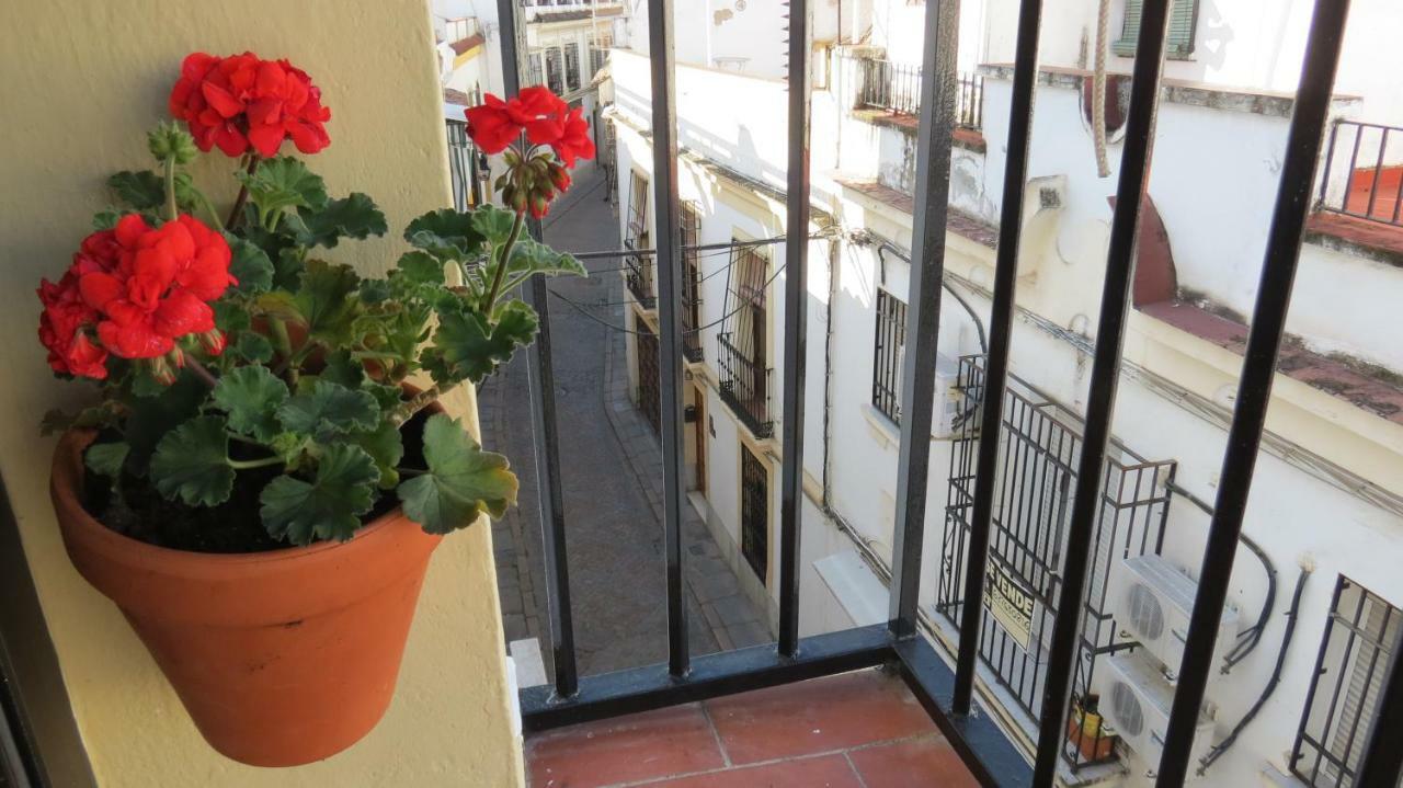 Patios De San Andres