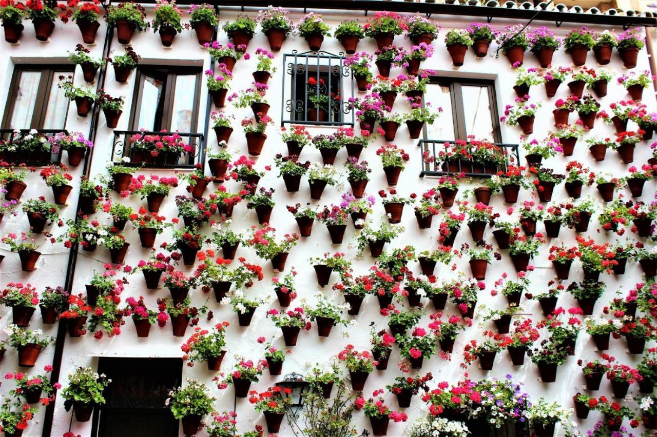 Tendillas * Cordoba