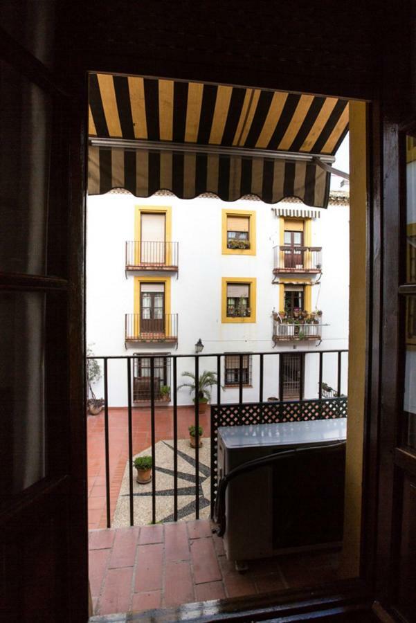 Saravia Only Families