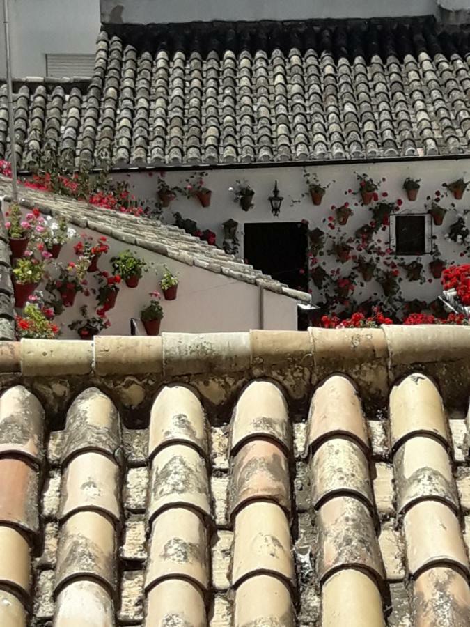 Apartment Tejares Del Alcazar *